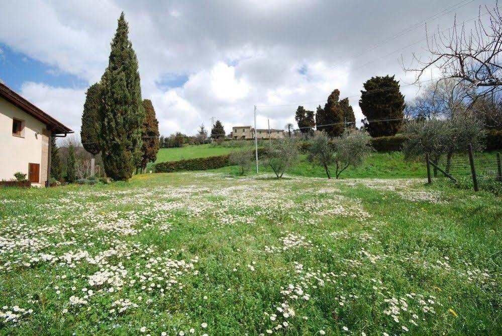 Agriturismo Villa Opera โวลแตร์รา ภายนอก รูปภาพ
